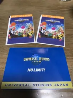 USJペアチケット(2023年3月末まで有効)