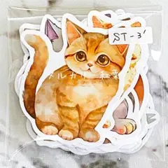 【ST-3】海外 ステッカー 猫 30枚②
