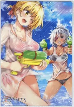 ⭕️ド級編隊エグゼロス　クリアファイル
