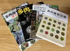 4冊セットNHK趣味の園芸 多肉植物 パーフェクトブック ガーデニング野菜