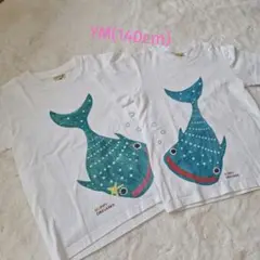 Item thumbnail for item 22a3c2ed-8102-4b14-8ad5-417ec6977a3b