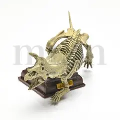 【未開封】NTC 古生物 トリケラトプス 黄土 ネイチャーテクニカラー ガチャ