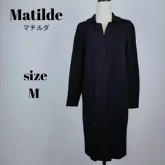 Item thumbnail for item 64f5452b-942c-40ed-9a5a-517b1b2b775c