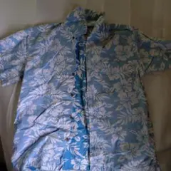 Item thumbnail for item 3260f7ed-a342-4178-b688-d46abe5e781d