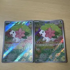 シェイミ ar 2枚