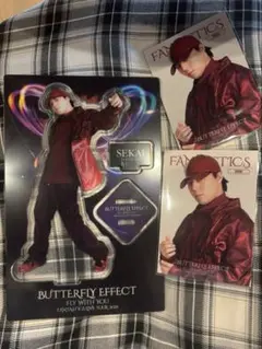 BUTTERFLY EFFECT 世界 アクスタ フォトカ