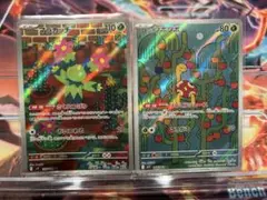 マラカッチとツボツボ AR2枚セット