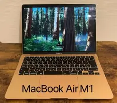 MacBook Air M1 256GB