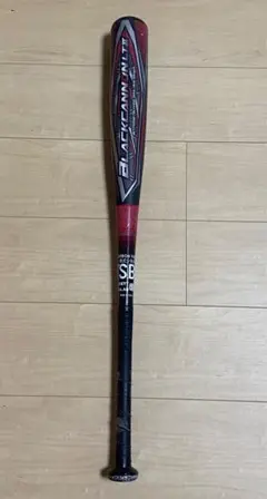 Item thumbnail for item bf561757-8e68-4007-aa0e-a31c17e725f0