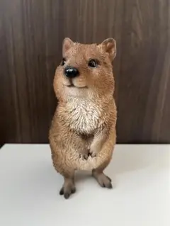 クオッカ ペットバンク　貯金箱