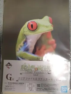 爬虫類＆両生類　一番くじ　クリアファイル＆ステッカーセット　アカメアマガエル