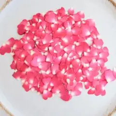 押し花ハート花弁100枚訳あり