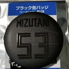 北海道日本ハムファイターズ　シークレット　ブラック缶バッジ　#53水谷瞬