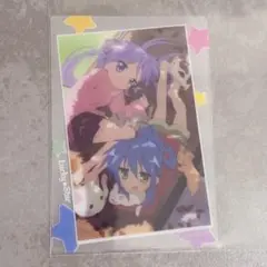 《専用出品》rappy様