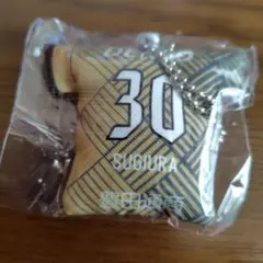 グランパス 30杉浦