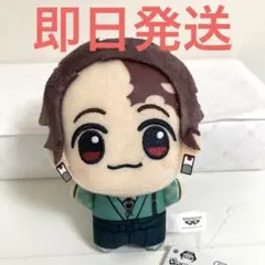竈門炭治郎 鬼滅の刃 ちびぐるみ ナンジャタウン いこいの里巡り ナムコ限定 ⑥