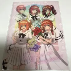 五等分の花嫁 アベイル クリアファイル