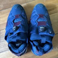Reebok Instapump Fury ネイビー ポンプ　24.5