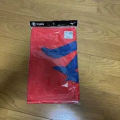 阪神タイガース タオル マルテ選手