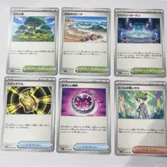なみのりビーチ 活力の森 メガシグナル ミステリーガーデン あやしい時計 ミツル