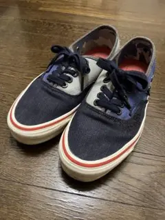 ナイジェルケーボン×VANS コラボ