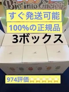【正規品・未開封】Labubu Big into Energy 3箱