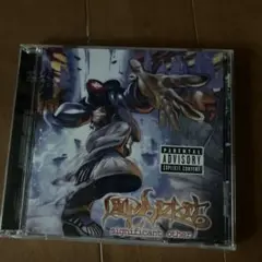 Limp Bizkit significant other