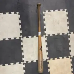 ミズノ ビクトリーステージ トレーニングバット