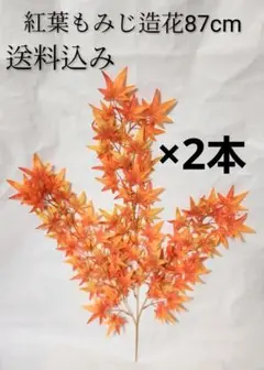 Item thumbnail for item e60d4979-9994-41f1-b69f-afa681492d1d