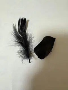 なにわ男子 ボンボンボヤージュ　devil or Angel 落下物　羽