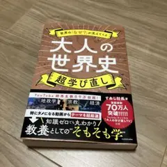 大人の世界史 超学び直し
