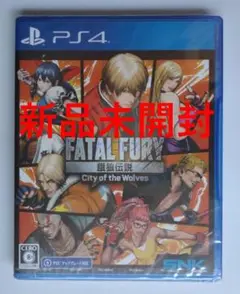 餓狼伝説 City of the Wolves SPECIAL EDITION