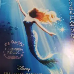 劇団四季 リトルマーメイド チラシ　フライヤー