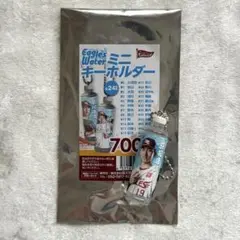 #19 荘司康誠 楽天イーグルスEaglesWater ミニキーホルダー