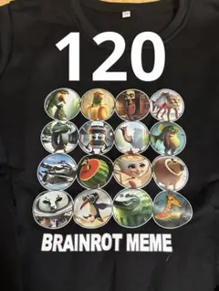 イタリアンブレインロットBRIANROT MEME トレーナー 120黒