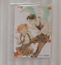 lala 10月号 アニメイト 特典 ブロマイド 汐風と竜のすみか 縞あさと