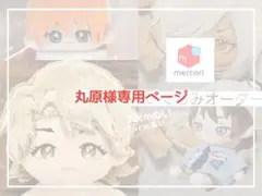 専用ページ