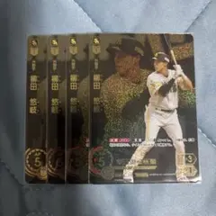 ドリームオーダー 柳田悠岐 PR プロモカード 交換チケット 日本選手権