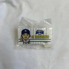 福岡ソフトバンクホークス 谷川原健太 鷹の祭典 バッチ