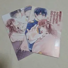 二度目の異世界少年だった彼は年上騎士になり溺愛してくる　アニメイト特典
