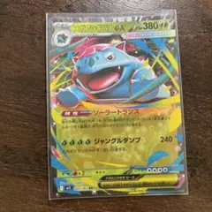 メガフシギバナex メガユキノオーex メガライボルトex メガバグーグex