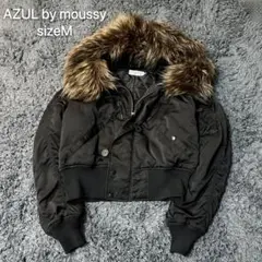 Item thumbnail for item d2602d9f-5217-405b-bcc4-2c97c5be7eec