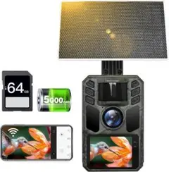 Item thumbnail for item 1c4e6a8c-0689-4a6e-9110-bf924d840e7c