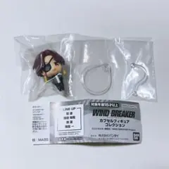 WIND BREAKER カプセルフィギュアコレクション 蘇枋隼飛 ウィンブレ