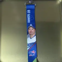中日ドラゴンズ　ボンフィン　山本泰寛