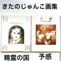 きたのじゅんこ画集 精霊・予感 2冊セット