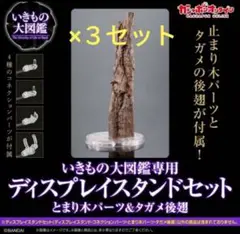ディスプレイスタンドセット　とまり木パーツ＆タガメ後翅　いきもの大図鑑　昆虫