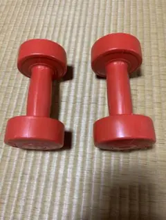 ダンベル　鉄アレイ　 筋トレ 筋力　1kg×2