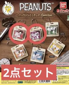ガシャポン PEANUTS パッケージミニチュアcollection 2点セット