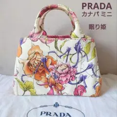 PRADA プラダ カナパ 眠り姫 バッグ トライアングルロゴ コミック ピンク